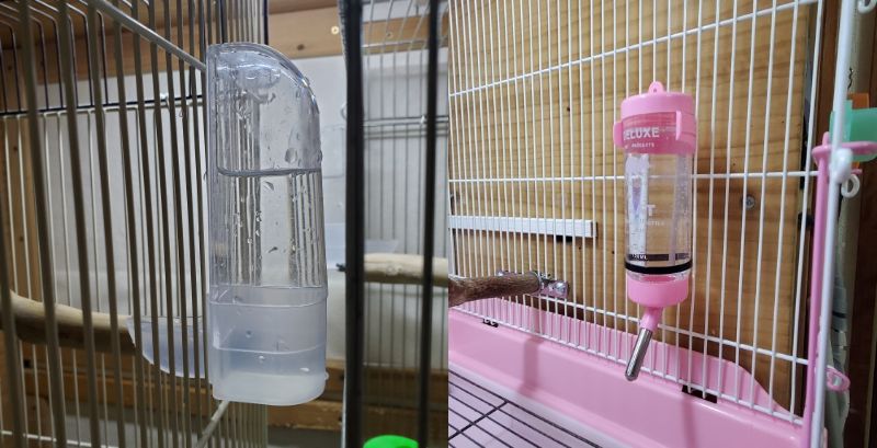 バナナ型給水器50mlとプッシュ式120ml給水器をケージに設置した様子