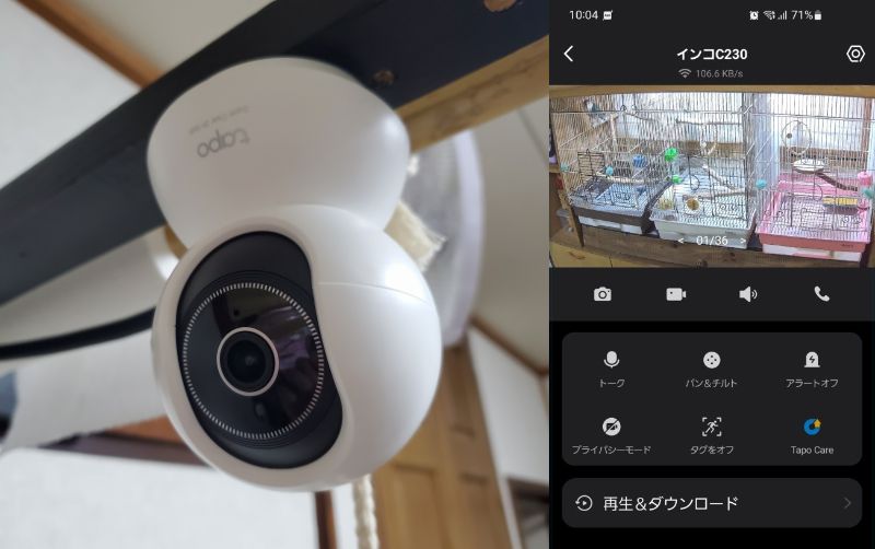 tapo 3K 5MP監視カメラでケージ内を確認している画面