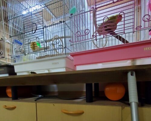 マルカン60Wヒーターを台下に設置した様子