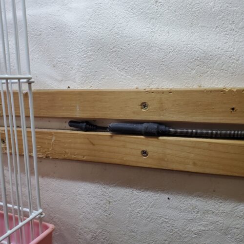 ケージ背面の鳥の高さに設置した温度センサー