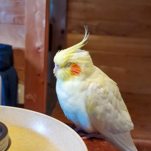 環境に慣れたぽぽちゃん