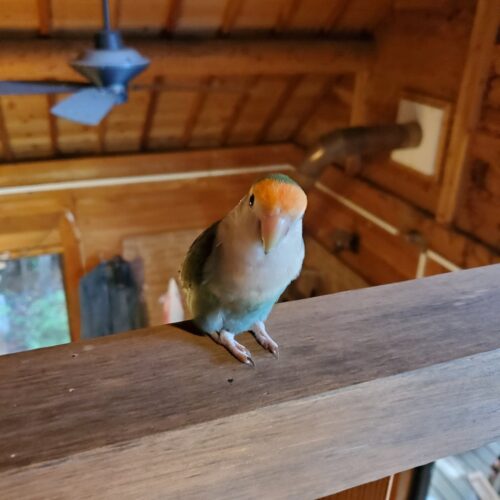 新しい場所に慣れた今のさいちゃん