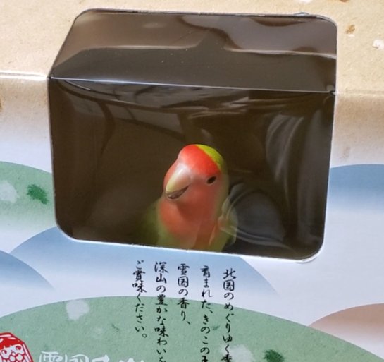 なぜ箱や狭い場所に入りたがるのか